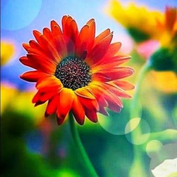 Meet your Posher - Picture 8 of 8